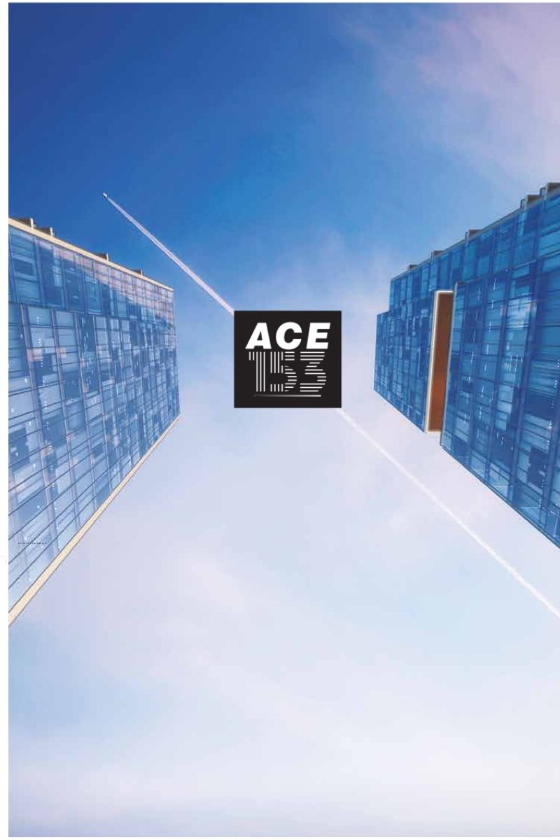 Image of ACE Arte