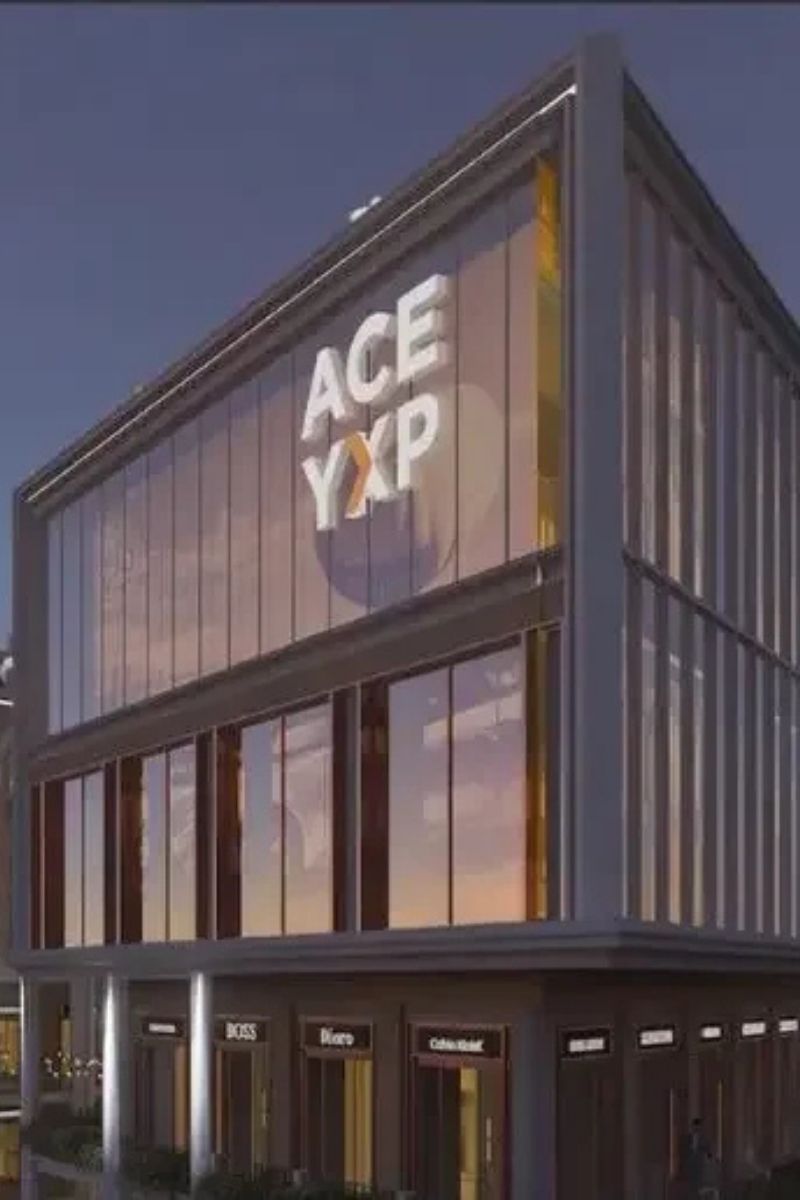 Image of ACE YXP